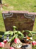image of grave number 96854